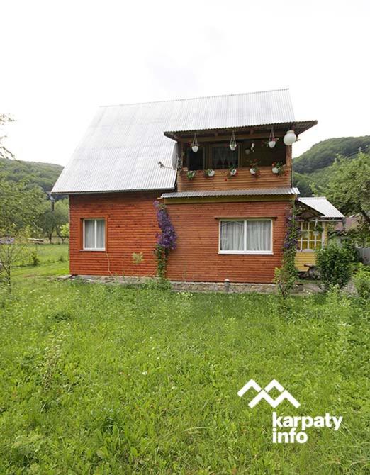 a red brick house in a field of green grass at Садиба У Гайдука in Vizhenka