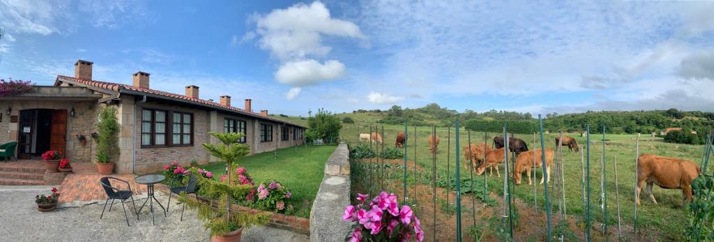 una casa con una valla y vacas en un campo en Posada La Roblera en Oreña