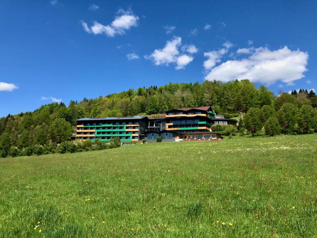 un edificio en una colina con un campo de césped en Natura Hotel Bodenmais, en Bodenmais