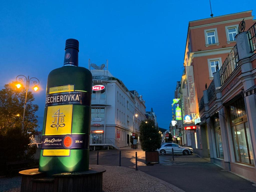 Fotografie z fotogalerie ubytování Blue Rose Apartman v destinaci Karlovy Vary