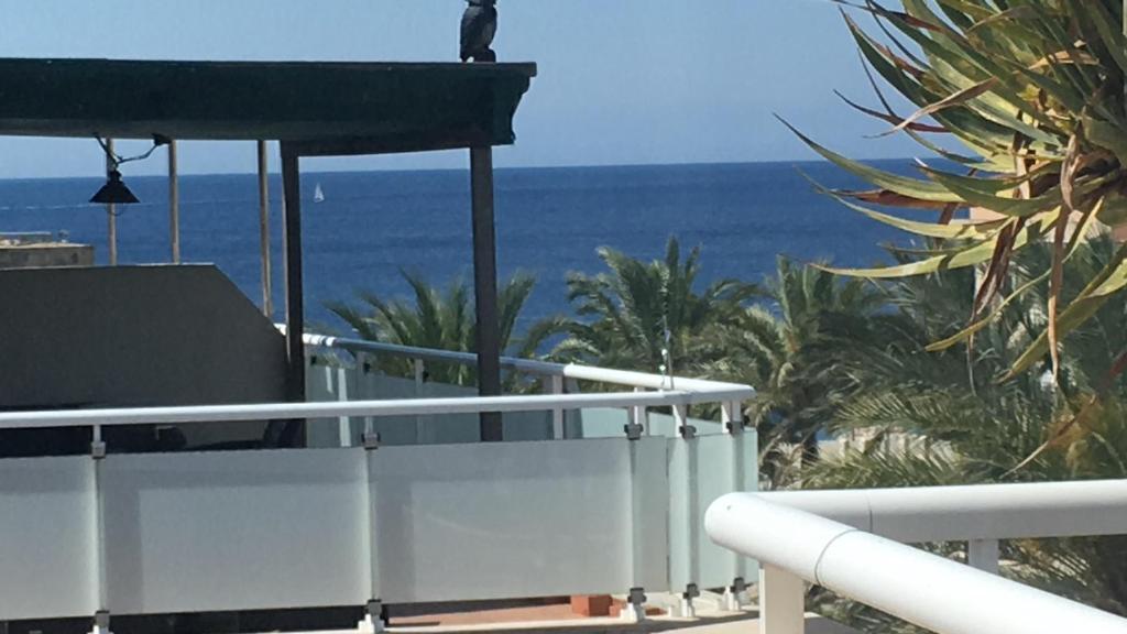 un pájaro sentado en el borde de un balcón con vistas al océano en Penthouse La Paz 9 - Castle view, en Moraira