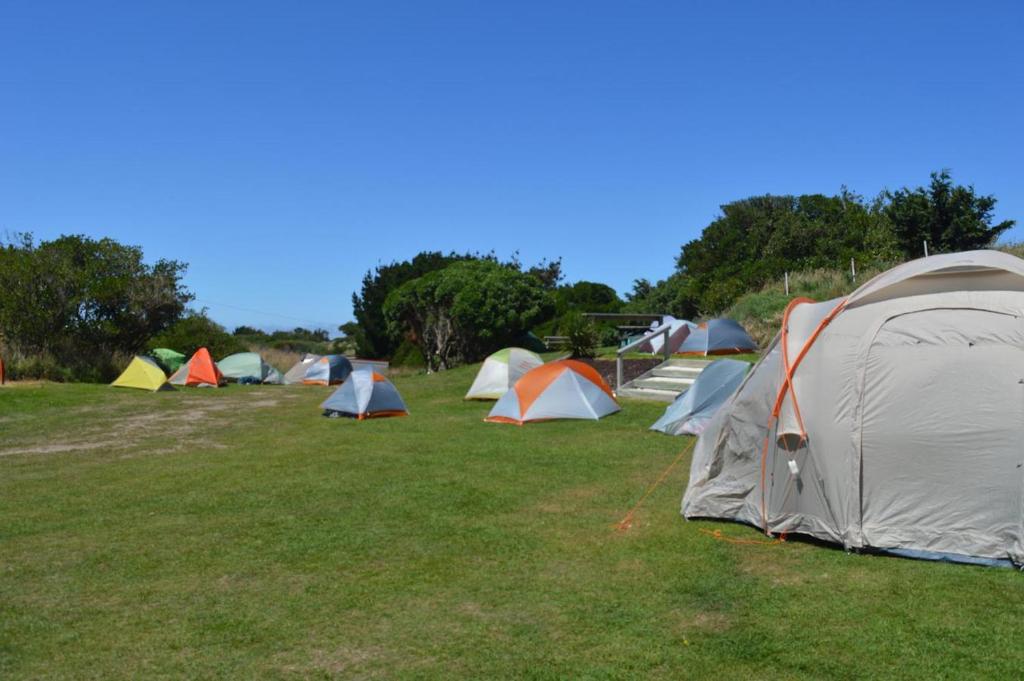 Dunedin Holiday Park - Resim 8