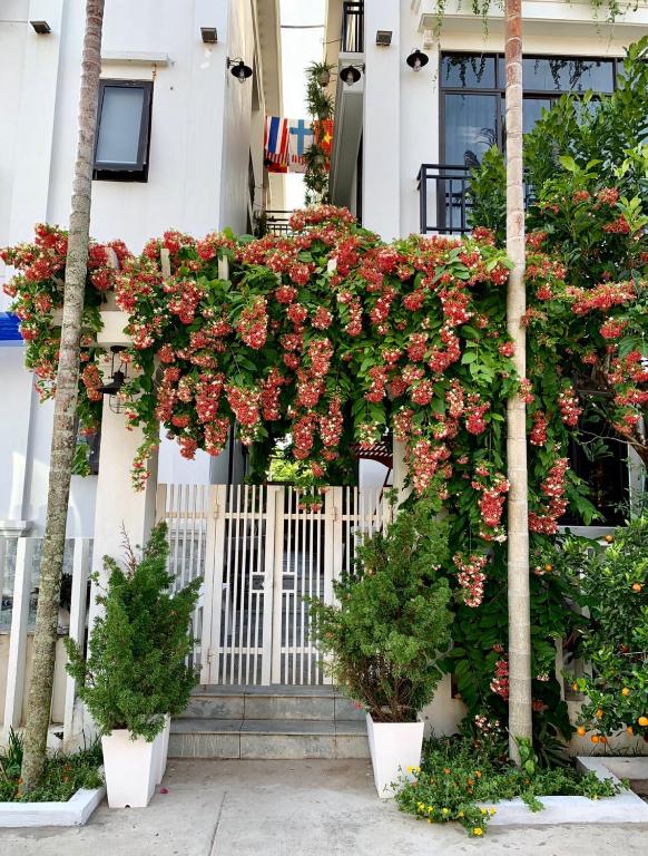 Zahrada ubytování Santa Sea Villa