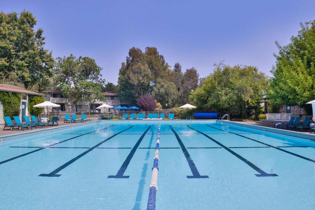 uma grande piscina com cadeiras azuis e árvores em Best Western Corte Madera Inn em Corte Madera