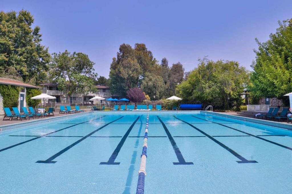 a large swimming pool with blue chairs and trees at Best Western Corte Madera Inn in Corte Madera