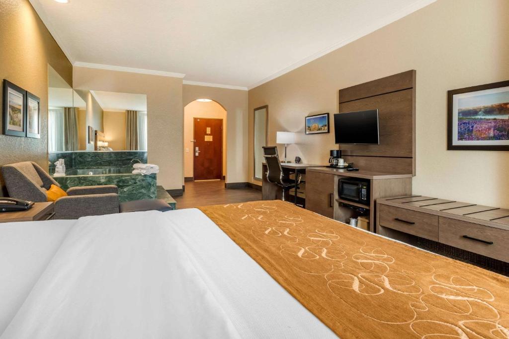 Comfort Suites Baytown I - 10 - King Suite - Non-fumeur