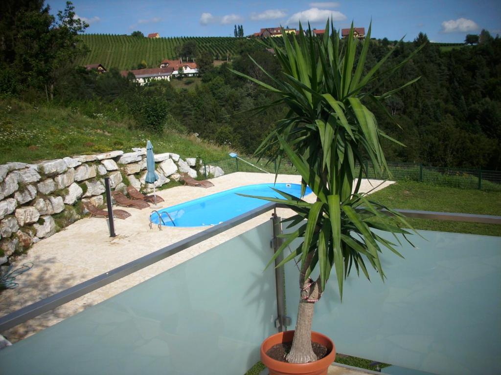 a palm tree in a pot next to a swimming pool at Gästehaus MAXLTONI in Kitzeck im Sausal