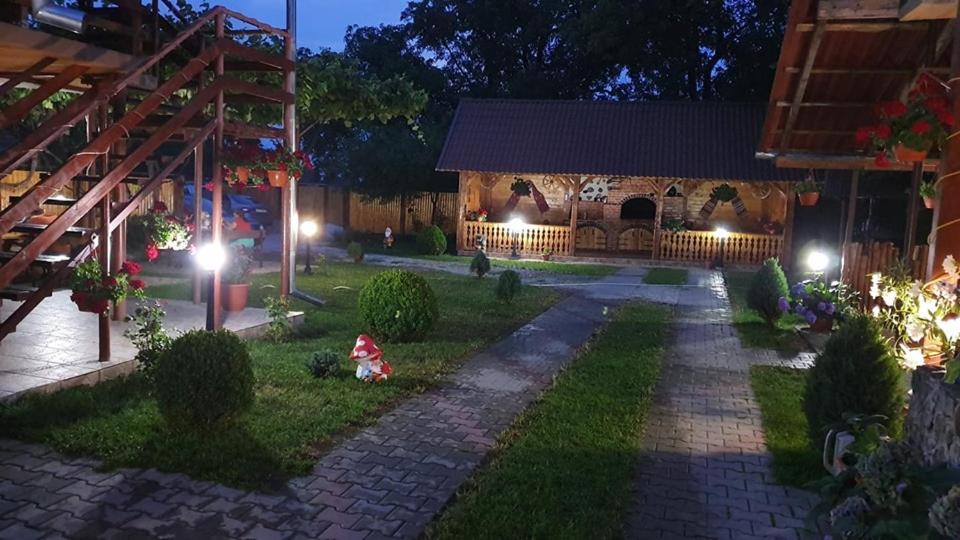 a garden at night with a house with lights at Casa Floare de Colt in Cârțișoara