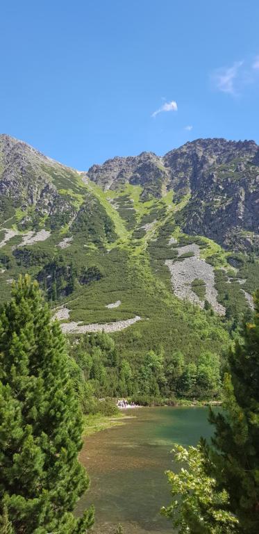 Suitetrails - Apartman Zatura