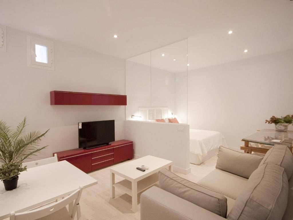 uma sala de estar com um sofá, uma televisão e uma cama em Apartamento con encanto en ópera em Madri