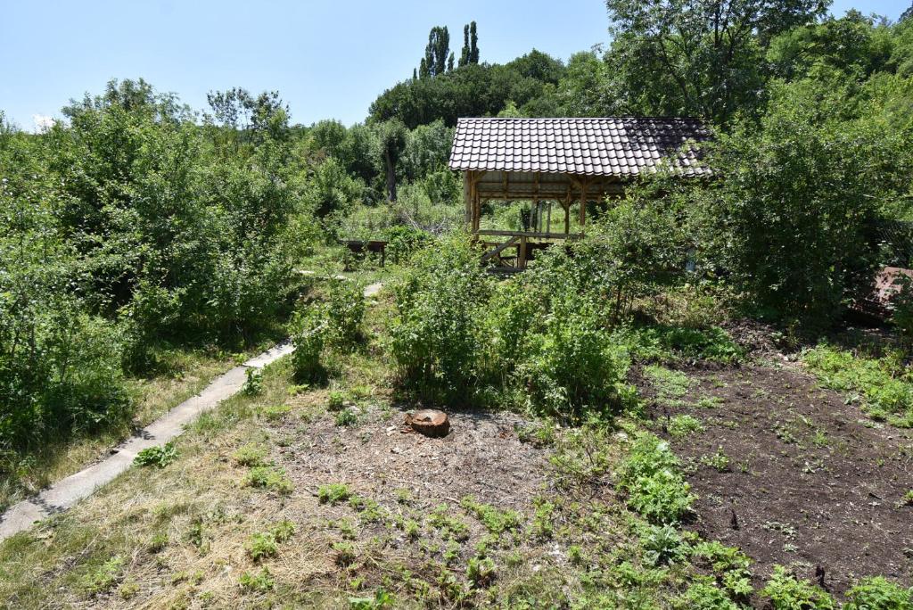 Zahrada ubytování Guest House Arsan