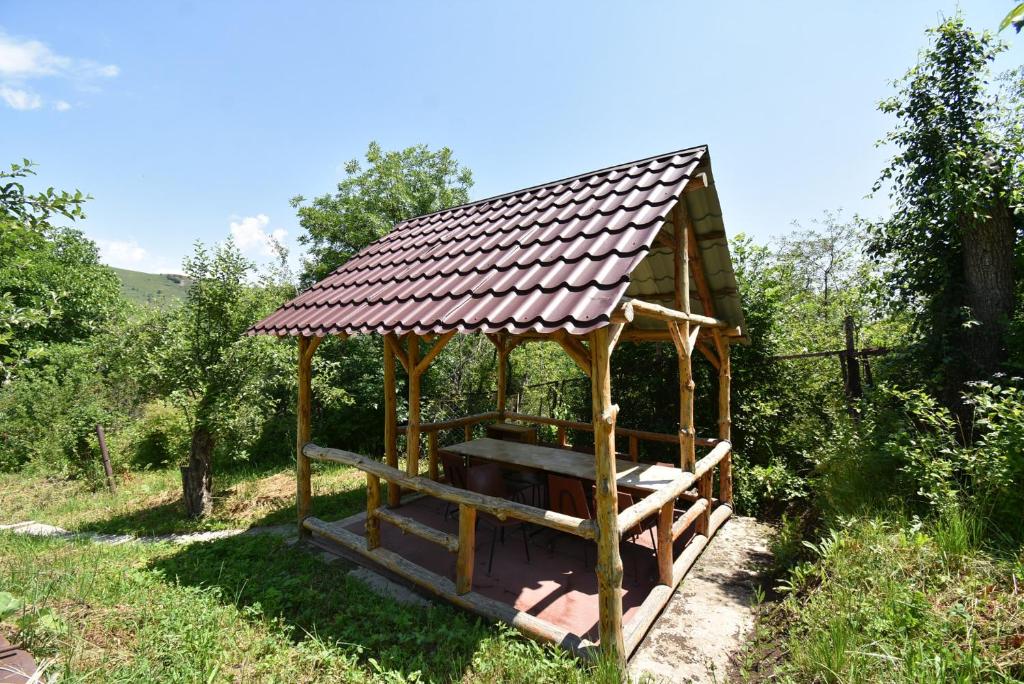 Příroda nedaleko penzionu