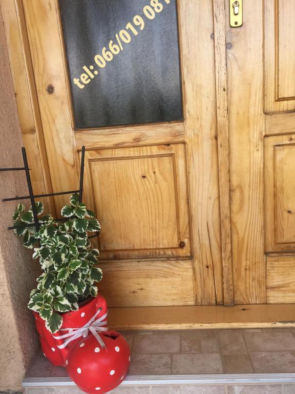 Fotografie z fotogalerie ubytování Zvezdica v destinaci Bajina Bašta