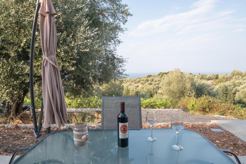 Wineland Ithaca Greece