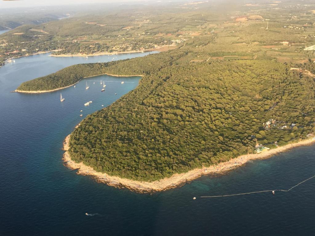 Príroda v okolí apartmánu