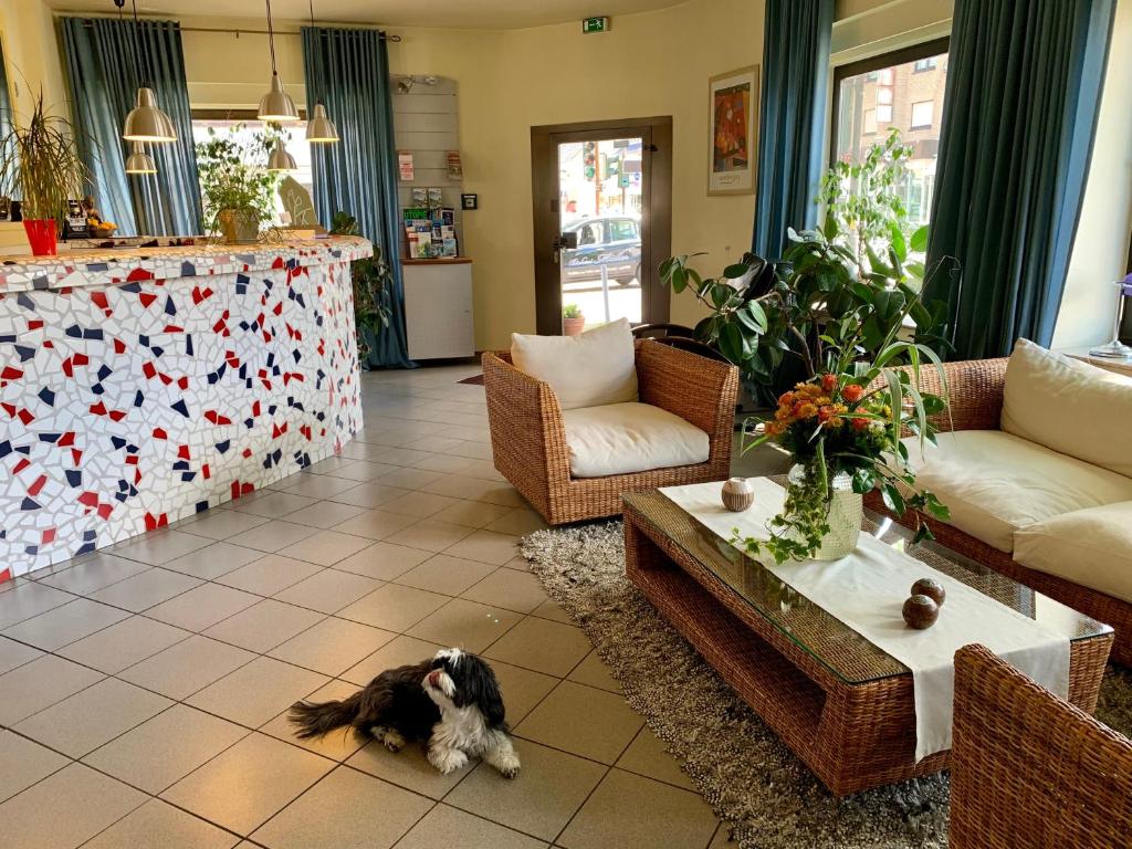 Art Hotel Köln - Resim 10