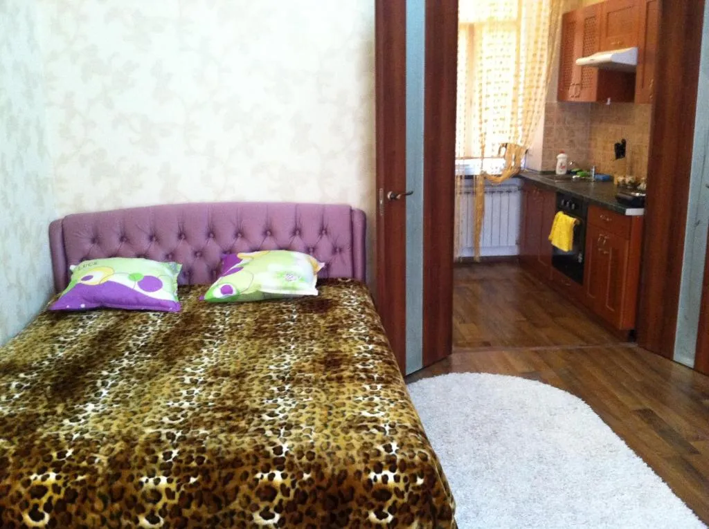 Modern 1-bedroom in center of Odessa at Richelevskaya & Derebasovska, Odesa, Ucraina