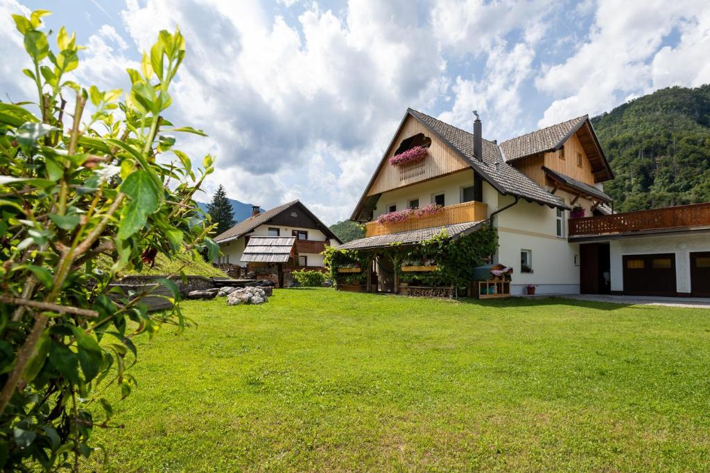 Příroda nedaleko apartmánu