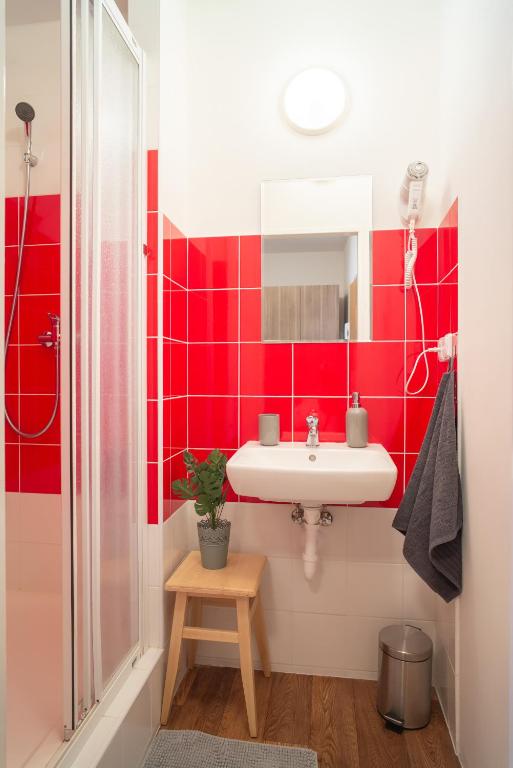 Internesto Brno - 13