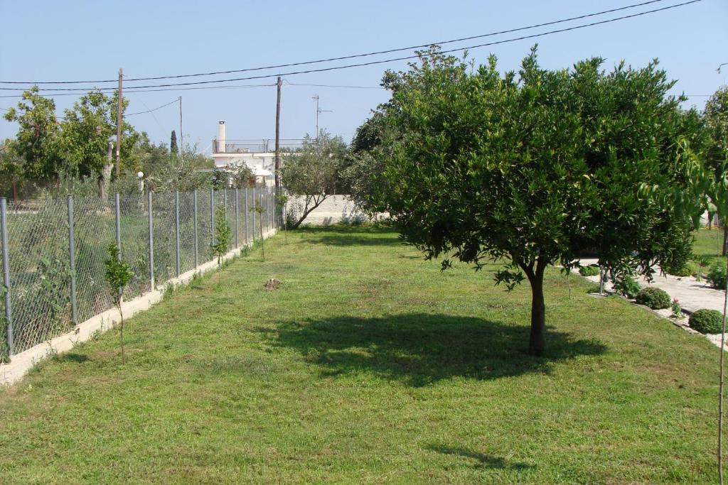 A garden outside Gorjelina `s House