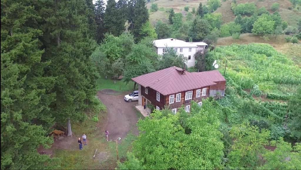 Vue de tête d'une maison au milieu d'une forêt dans l'établissement Farvana, à Didachara