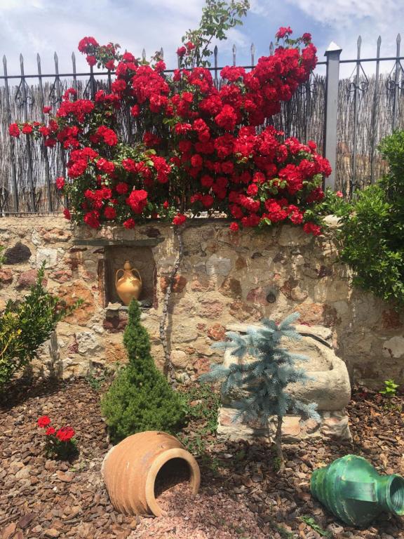 Zahrada ubytování Casa Rural "Rincón del Edén"