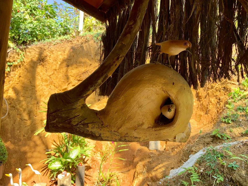  Mirante do Pirata Suítes Bed and Breakfast