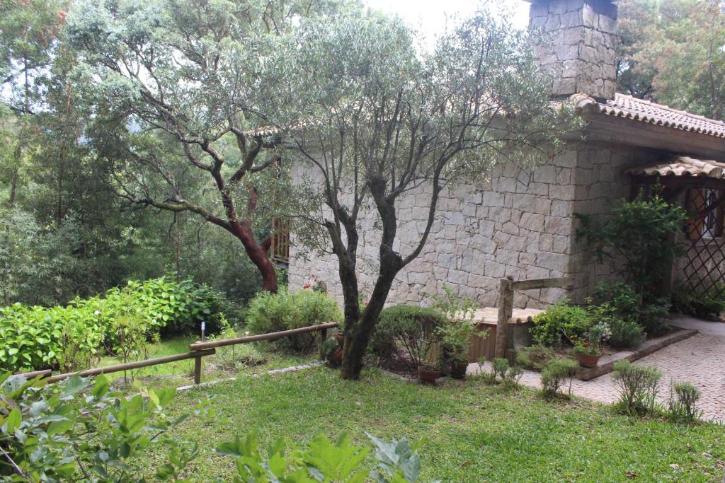 un jardin en face d'un bâtiment en pierre avec un arbre dans l'établissement Cantinho do Bouço Velho, à Couto de Baixo