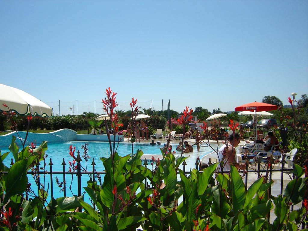 Bazén v ubytovaní Elena Club Resort alebo v jeho blízkosti