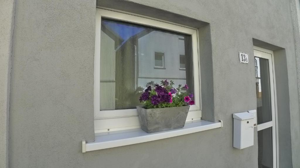 una ventana con una maceta de flores en el alféizar de la ventana en Ferienhaus 13b en Bad Orb