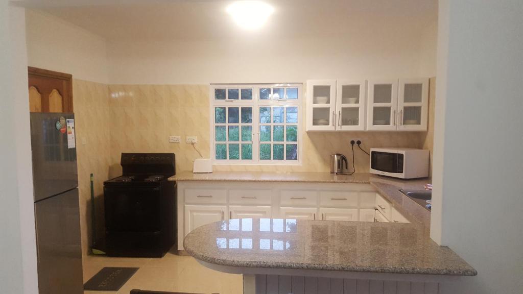 Kuchyň nebo kuchyňský kout v ubytování Anse Royale Bay View Apartments