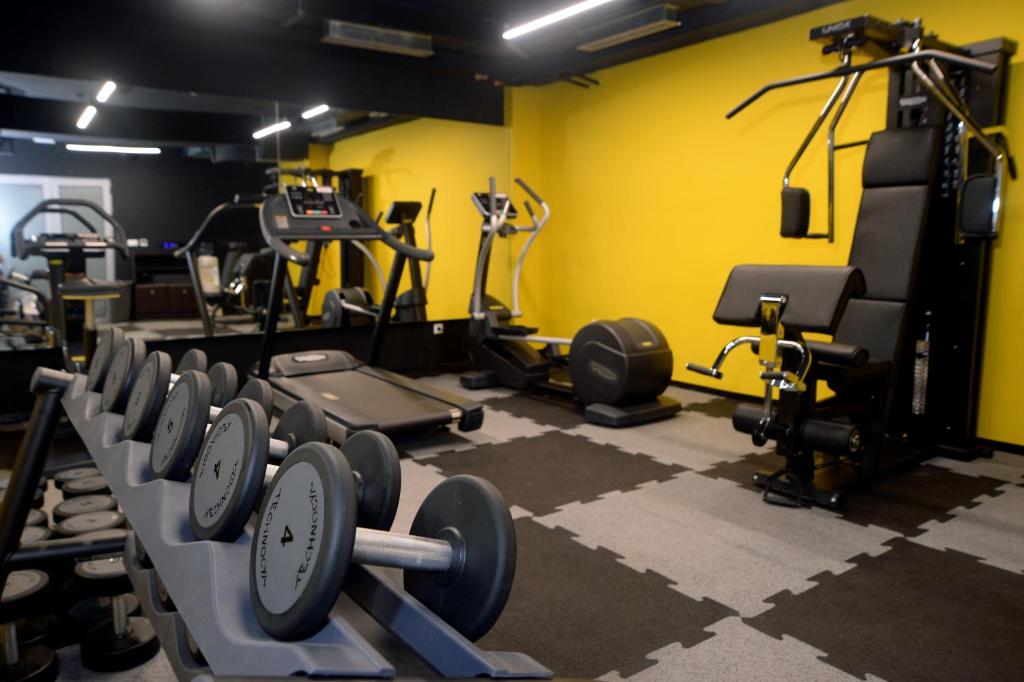 Fitness centrum a/nebo fitness zařízení v ubytování Hotel Alexandar II