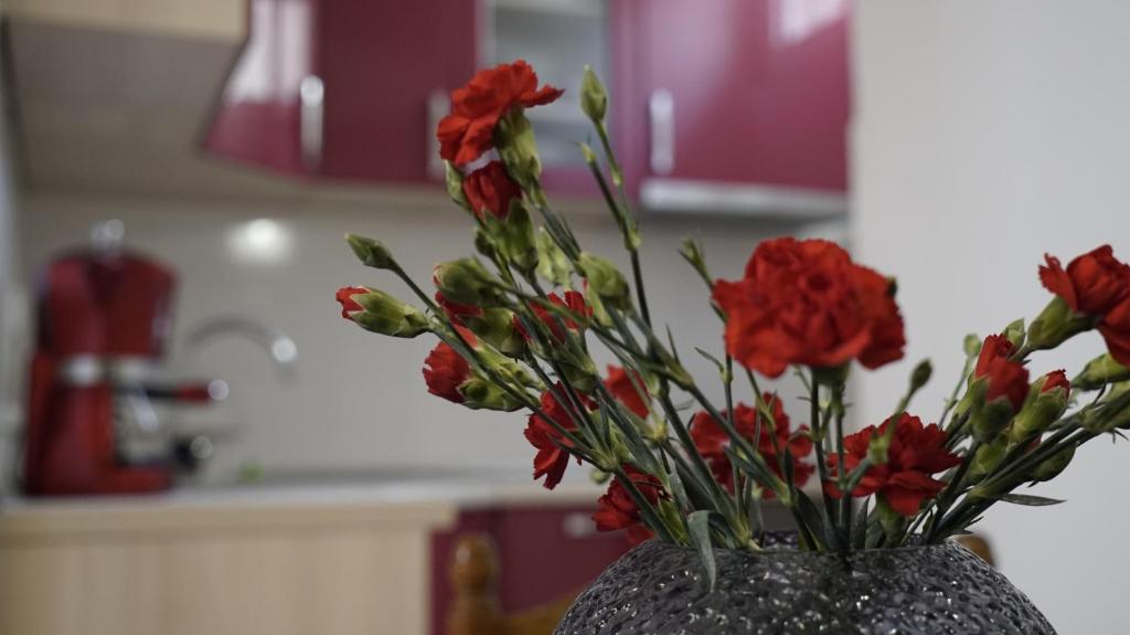 um vaso cheio de flores vermelhas numa cozinha em Priko Cetine em Omiš
