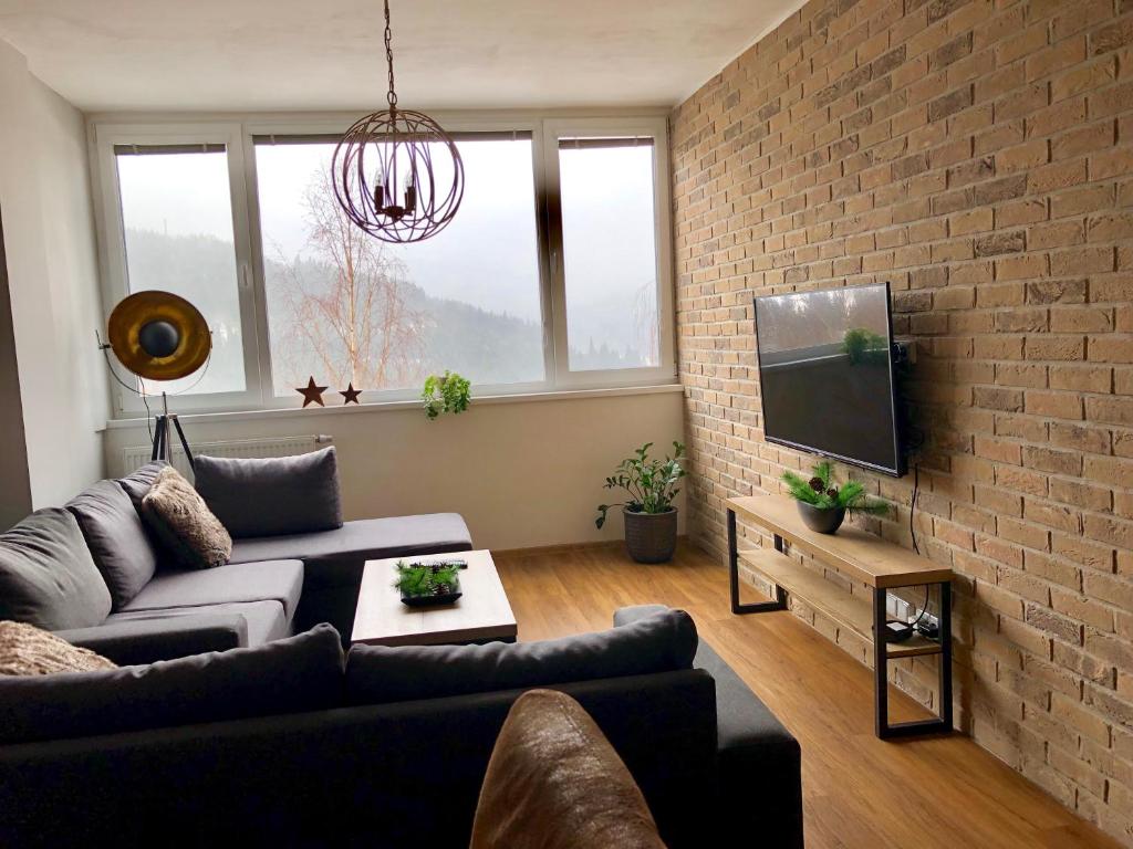 TV a/nebo společenská místnost v ubytování Apartment Elis