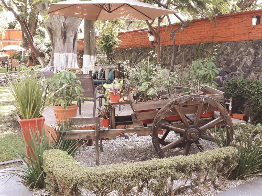Zahrada ubytování Villa Paraiso