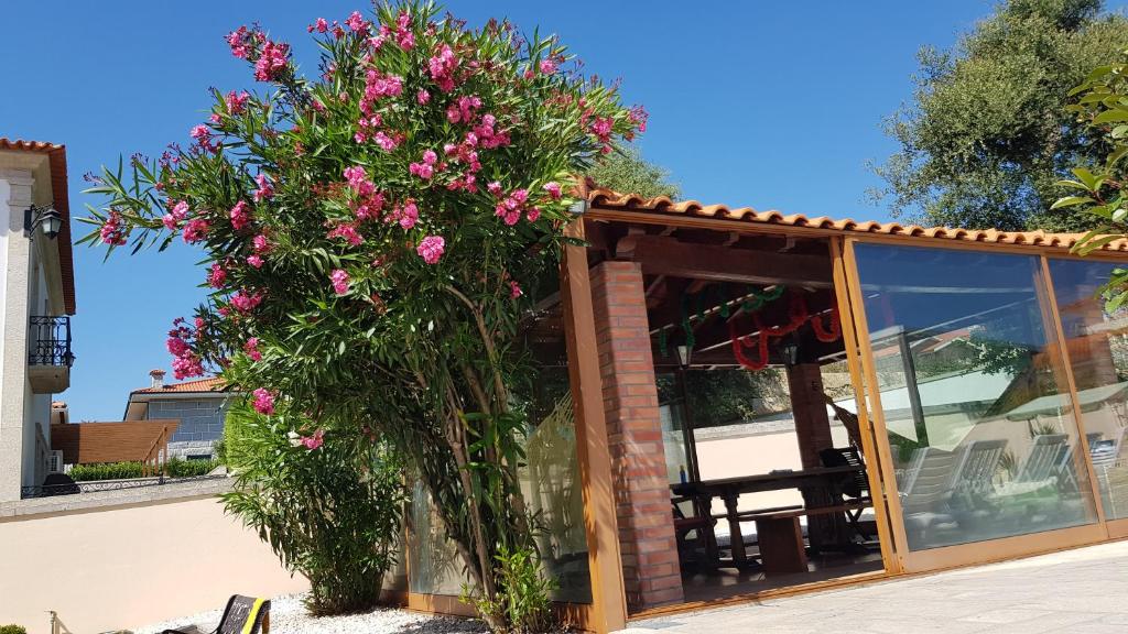 Zahrada ubytování Afonso's House Alpendurada