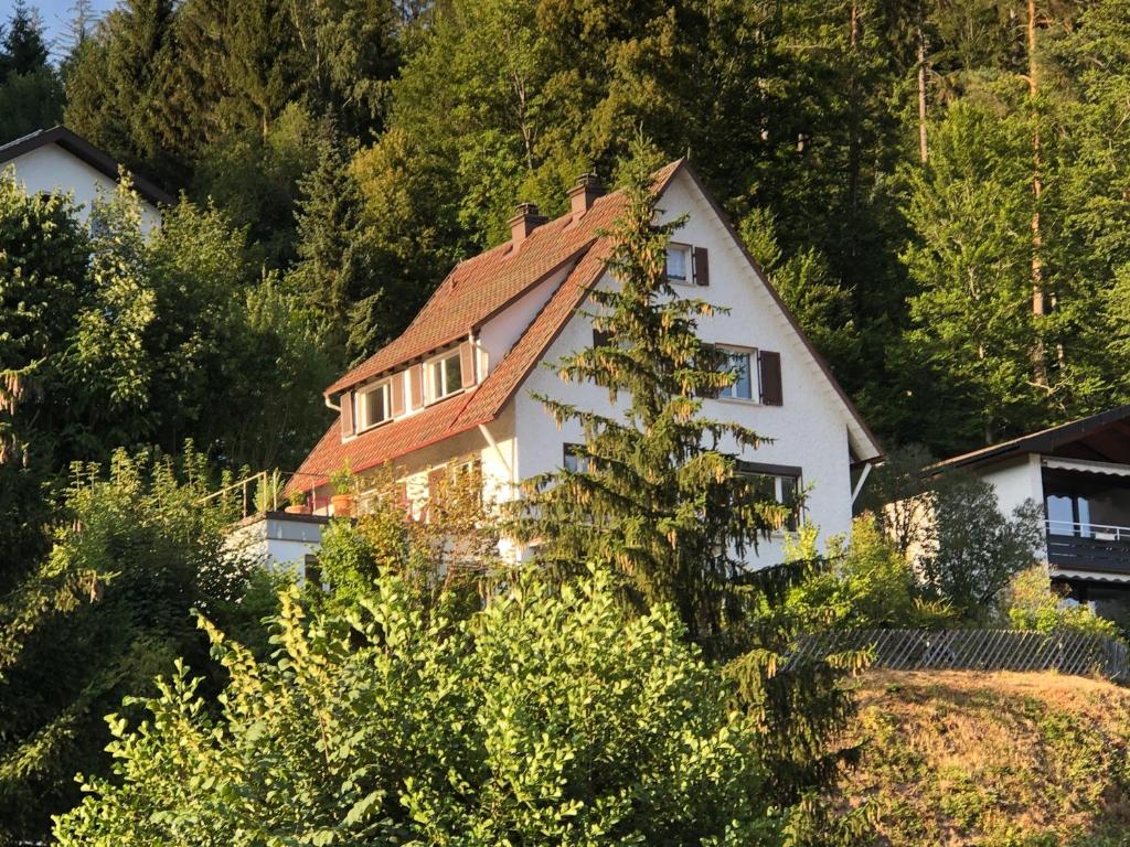 uma casa branca numa colina com árvores em Ferienhaus Kroneck em Triberg