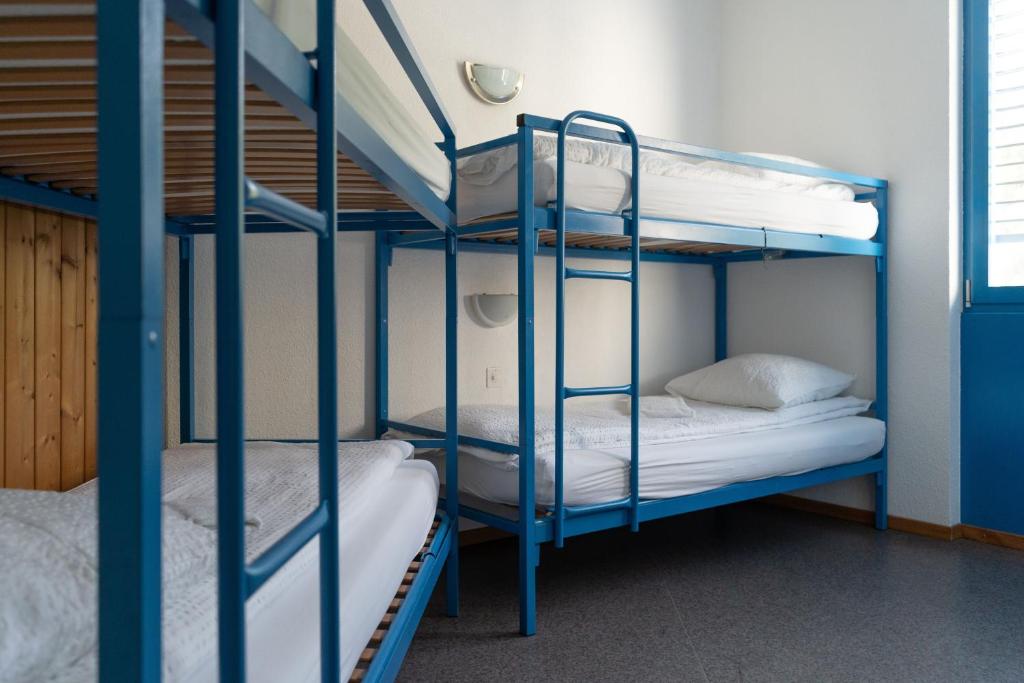 Postel nebo postele na pokoji v ubytování Mont-Fort Swiss Lodge