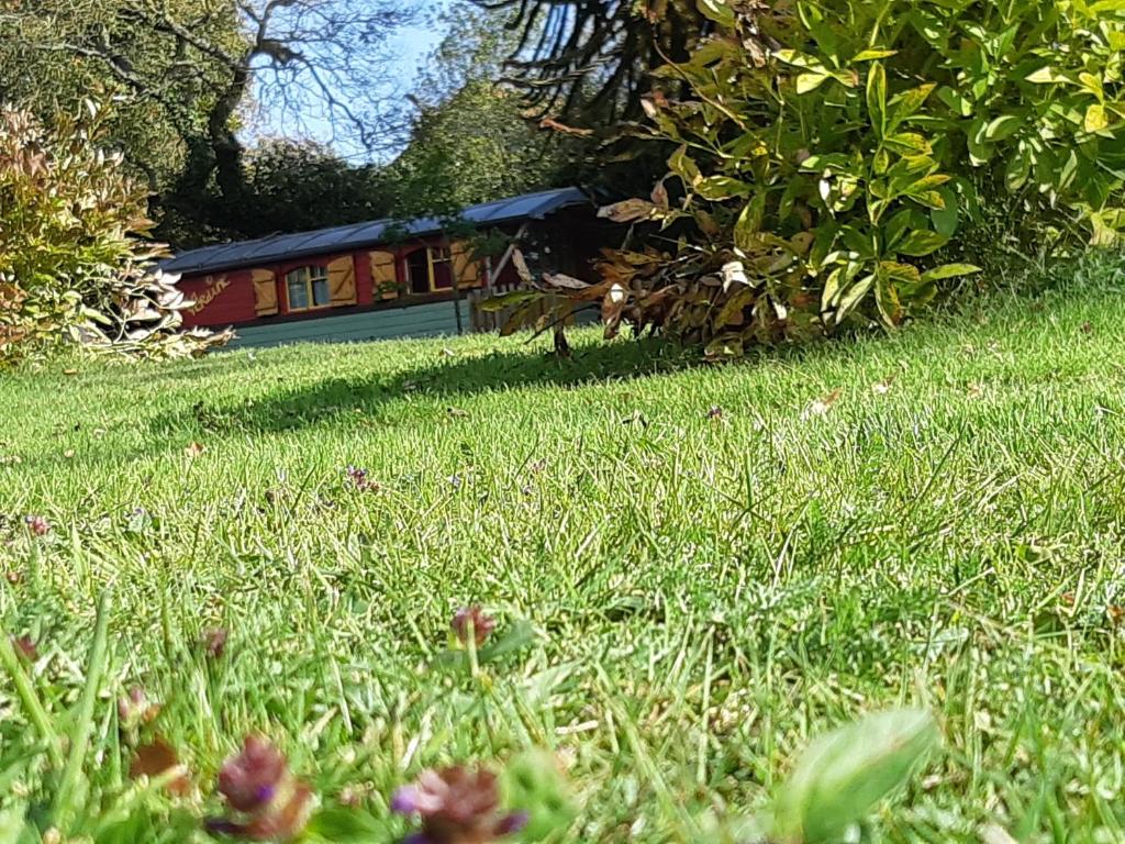 a green grass field with a train in the background at Roulotte La Verdine in Dury