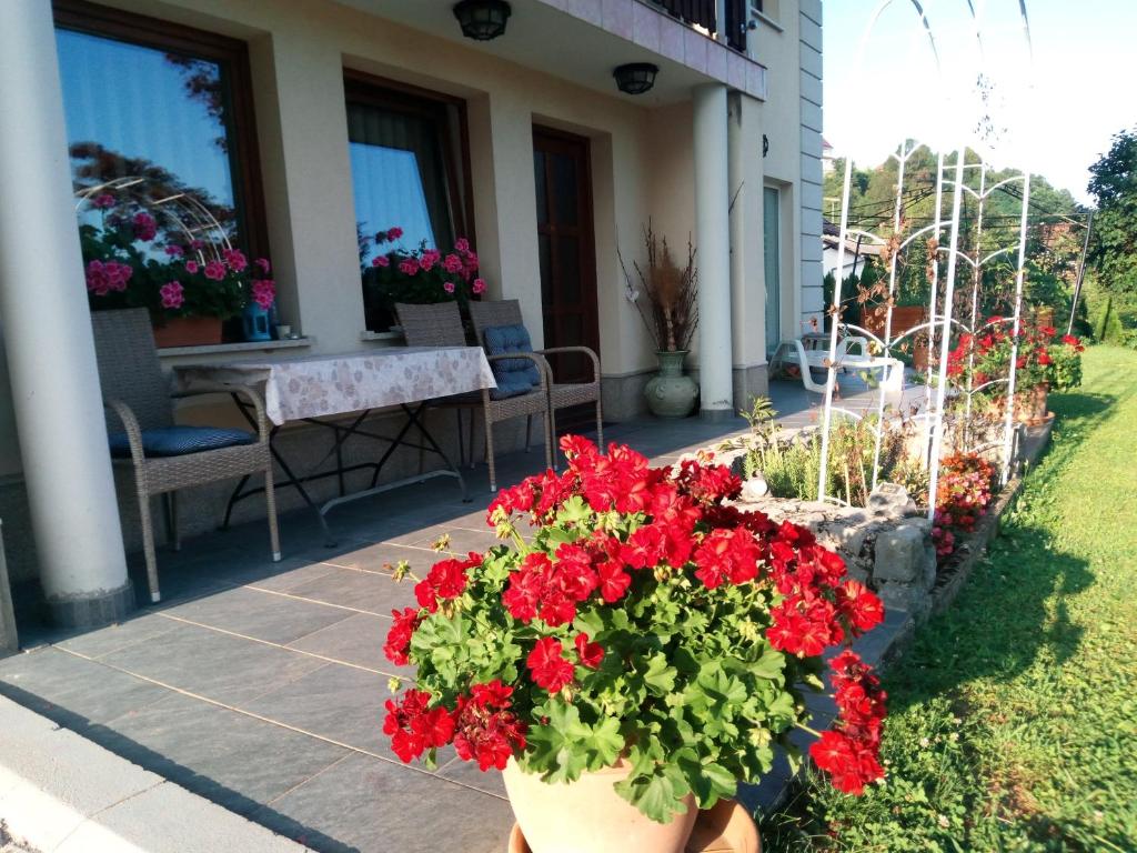 - une terrasse avec des fleurs rouges, une table et des chaises dans l'établissement Dolenjska vila, à Žužemberk