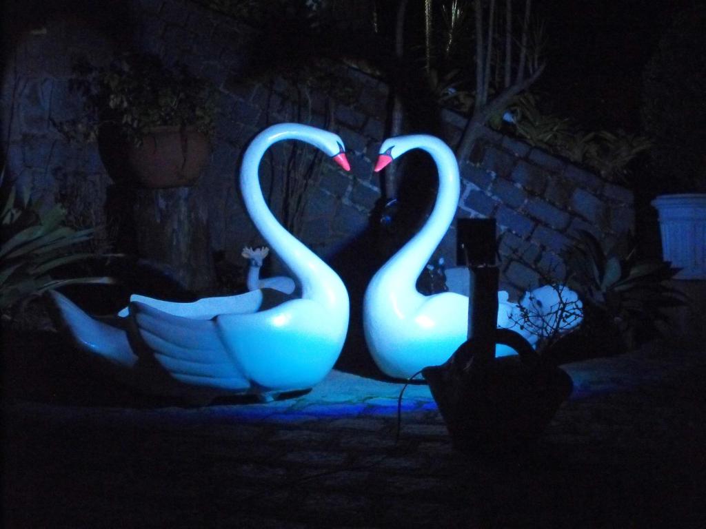  Pousada Cascata dos Amores