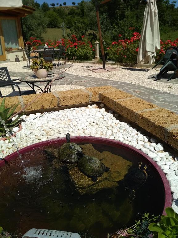 Zahrada ubytování B&B Monticelli