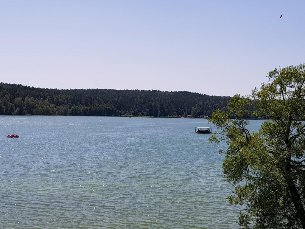 a large lake with two boats in the water at ALEKSANDRA in Wiele