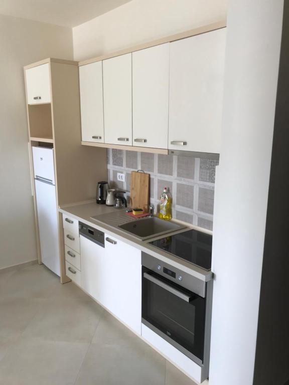 Kuchyň nebo kuchyňský kout v ubytování APARTMENTS TOMIĆ