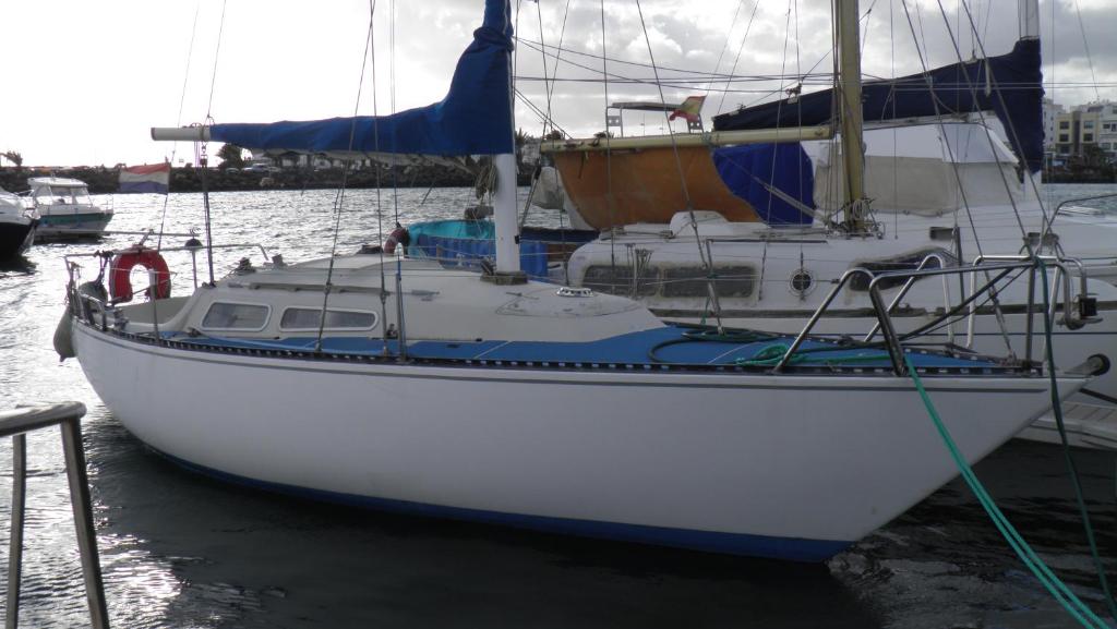 a white boat is docked in the water at Velero Freja in Arrecife