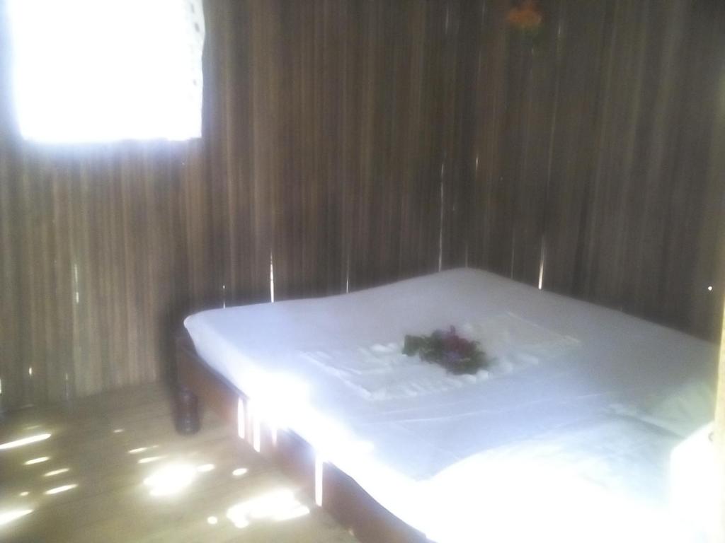 Gite Ambatosambo - Bungalow - Beach Front