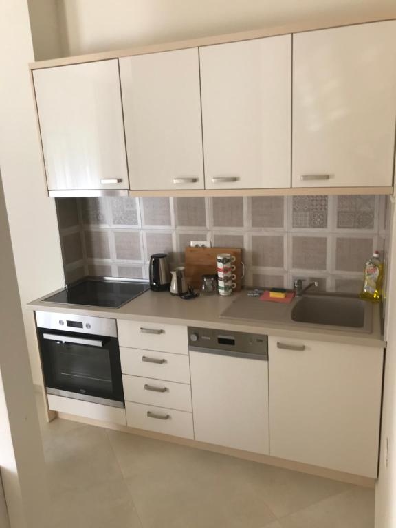 Kuchyň nebo kuchyňský kout v ubytování APARTMENTS TOMIĆ