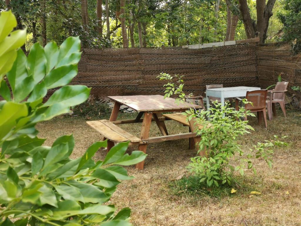 Zahrada ubytování The Nilmini Lodge