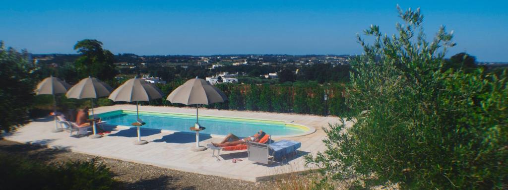 The swimming pool at or close to Il Carpino