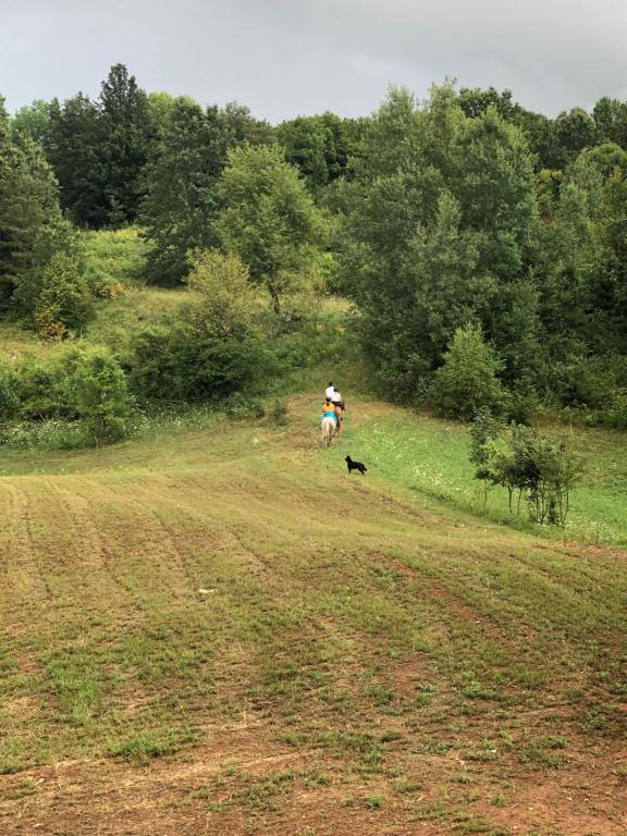 B&B Villa Dolina Plitvice - 17